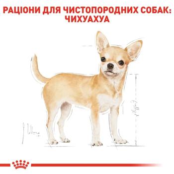 Корм вологий Royal Canin Adult з домашньою птицею для собак породи чихуахуа 9+3шт*85г - купити, ціни на MasterZoo - фото 4