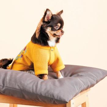 Pet Fashion Denis Cardigan for Dogs s.S - buy, prices for MasterZoo - photo 6