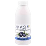 Molochnyi Svit A2 Blueberry-Chia Yogurt with Probiotic 1.5% 450g