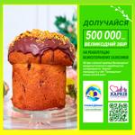Dubai Panettone 550g