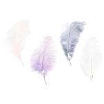 Ostrich Feathers 40-45cm 1pc in Assortment