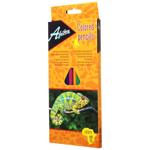 Олівці Economix Africa кольорові 12 кольорів