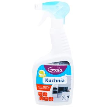 Спрей для прибирання GOSIA Kitchen 500ml 1 шт - купить, цены на WINETIME - фото 1