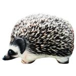 Hedgehog Soft Toy