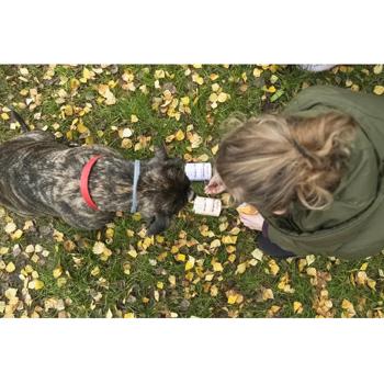Comfy Appetit Premium Wet Food with Lamb for Dogs of All Breeds 400g - buy, prices for MasterZoo - photo 7