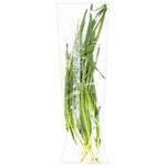 Green Onion Bundle 100g