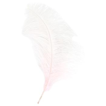 Ostrich Feathers 40-45cm 1pc in Assortment - buy, prices for COSMOS - photo 5