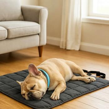 Carpet Pet fun Ukraine - buy, prices for MasterZoo - photo 6