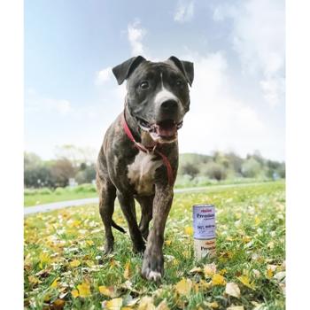 Comfy Appetit Premium Wet Food with Duck for Dogs of All Breeds 400g - buy, prices for MasterZoo - photo 5