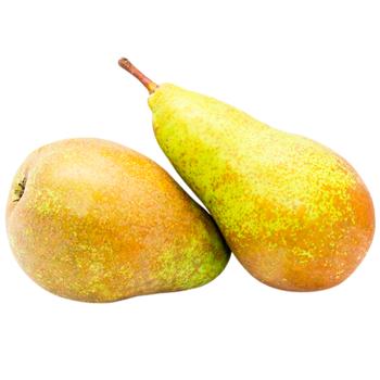 Conference Pear - buy, prices for WINETIME - photo 1