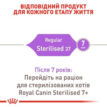 Royal Canin Sterilised 37 for Sterilized Cats Dry 2kg + Wet 4pcs x 85g - buy, prices for MasterZoo - photo 2