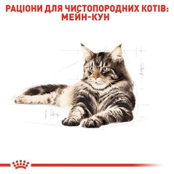 Royal Canin Adult for Cats of Maine Coon Breed Dry 2kg + Wet 4pcs x 85g - buy, prices for MasterZoo - photo 3