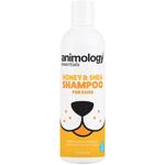 Шампунь дезодоруючий для собак Animology Essentials Honey and Shea 250 мл
