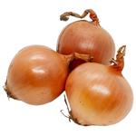 Лук репчатый первый сорт