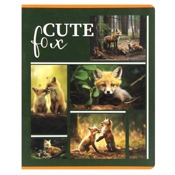 Tetrada Checkered Notebook with Cardboard Cover 48 sheets - buy, prices for NOVUS - photo 6