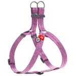 Leash Collar Ukraine