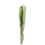 Greens mint Without brand fresh 50g Ukraine