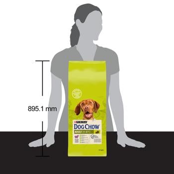 Корм сухий Dog Chow Adult 1+ з ягням для дорослих собак всіх порід 14кг - купити, ціни на MasterZoo - фото 4