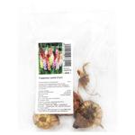 Gladiolus Mix Bulbs 3pcs