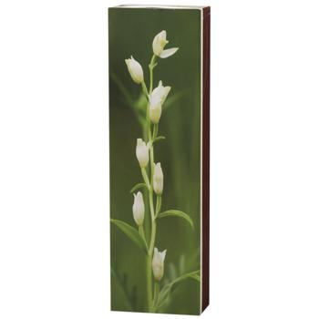 HB Matches for Fireplace and Grill 50pcs - buy, prices for MegaMarket - photo 3