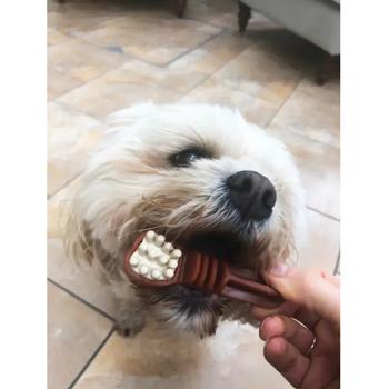 Лакомство Knash Tooth Brush для ухода за полостью рта у собак средних пород с арахисом, мятой и клюквой 200г - купить, цены на MasterZoo - фото 6