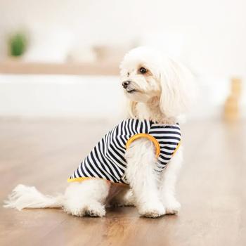 Борцовка для собак Pet Fashion Kale р.M полосатая - купить, цены на MasterZoo - фото 4