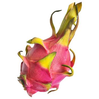 Pitaya - buy, prices for Tavria V - photo 1