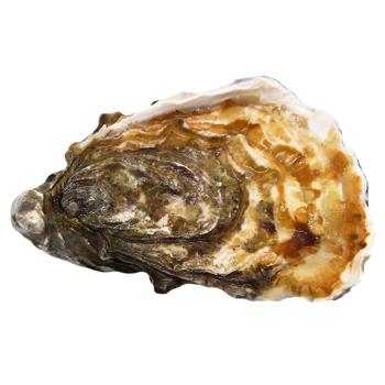 Black Queen №3 Oyster, pc - buy, prices for WINETIME - photo 2