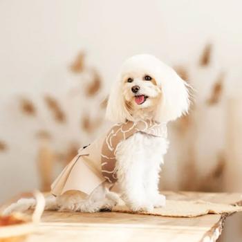 Sarafan Pet fashion - buy, prices for MasterZoo - photo 5