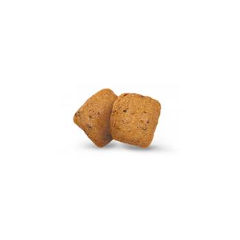 Сухий корм для собак Green Petfood InsectDog Adult Hypoallergen 900 г - комахи - купить, цены на MasterZoo - фото 2