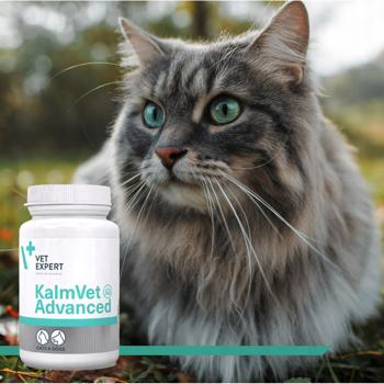 Supplement Vet expert - buy, prices for MasterZoo - photo 5