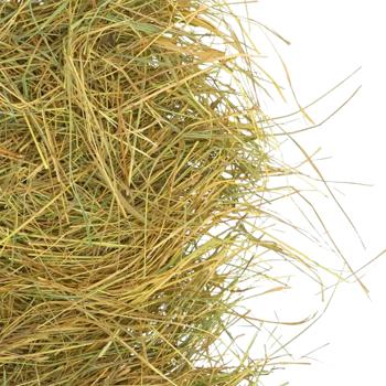 Hay My furry 450g Ukraine - buy, prices for MasterZoo - photo 3