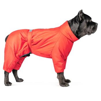 Pet Fashion Cold Raincoat for Dogs s.XS Red - buy, prices for MasterZoo - photo 3