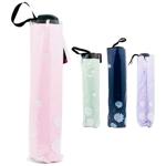 Umbrella Zed Chamomile in Assortment