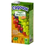 Напиток соковый Садочок для Иммунитета виноград-рябина-вишня-клубника 0,95л