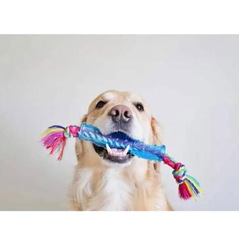 Іграшка для собак Petstages Orka Stick 3.8 см x 31.8 см x 3.8 см - купити, ціни на MasterZoo - фото 2