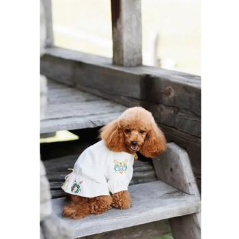 Pet Fashion Maryana Embroidery for Dogs s.XS - buy, prices for - photo 2