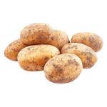 Картопля біла