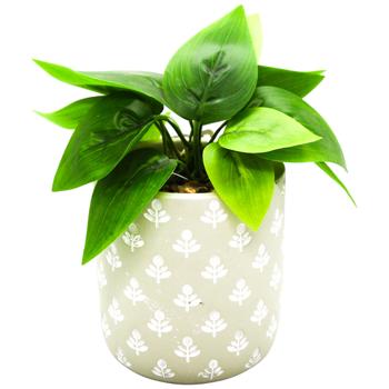 ШТУЧНА РОСЛИНА В КЕРАМ ГОРЩ 9Х - купити, ціни на Auchan - фото 4