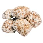 Volkhov Milk Gingerbread