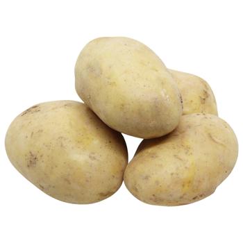 Картопля Єгипет - купити, ціни на КОСМОС - фото 1