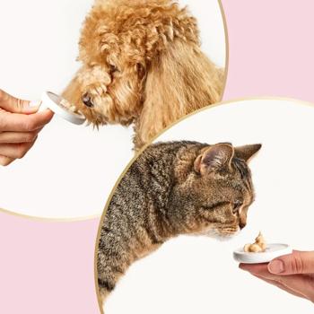 Ласощі для котів та собак Delickcious Creamy Snack з молоком та сиром 4шт*15г - купити, ціни на MasterZoo - фото 7