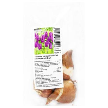 Yumi no Murasaki Lily-Flowered Tulip Bulbs 3pcs - buy, prices for ULTRAMARKET - photo 1