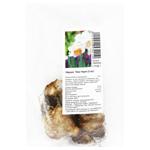 Луковицы нарцисса Пинк Чарм 3шт