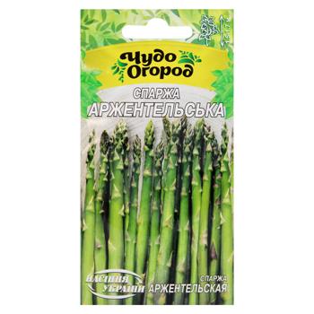 Semena Ukrayny Arzhentel Asparagus Seeds 1g - buy, prices for MegaMarket - photo 1