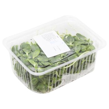 Мікрогрін соняшника 50г - купити, ціни на МегаМаркет - фото 2