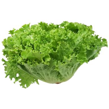 Iceberg Lettuce