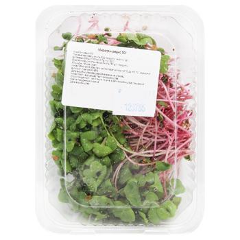 Radishes Microgreen 50g - buy, prices for Za Raz - photo 3