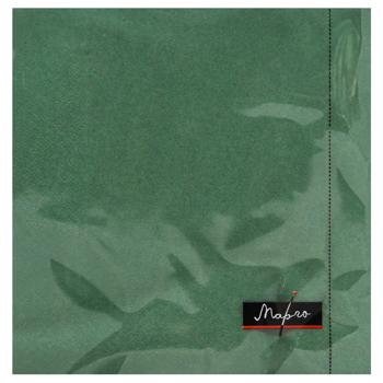 Margo 2-Ply Napkins 33х33cm 24pcs Green - buy, prices for NOVUS - photo 1