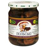Гриби Шарм Польські 480г